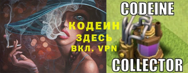 apvp Горняк