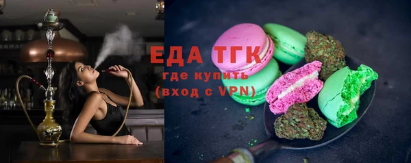 гашик Вязьма