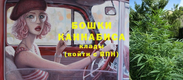 МДПВ Горно-Алтайск