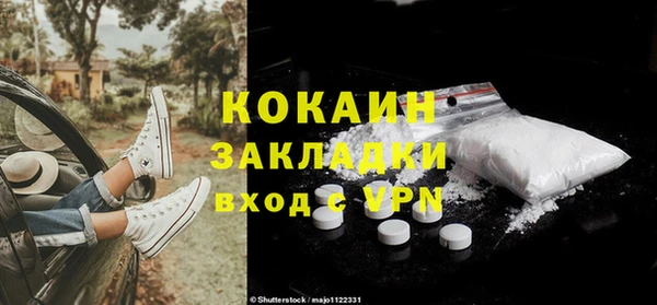 apvp Горняк
