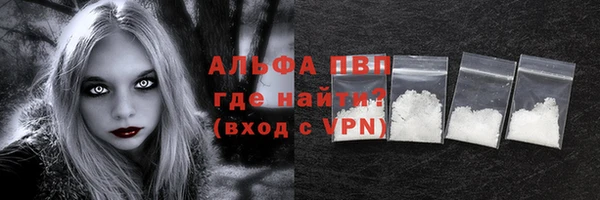 PSILOCYBIN Горнозаводск