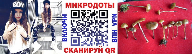 mega ТОР как найти Кирс Галлюциногенные грибы MAGIC MUSHROOMS
